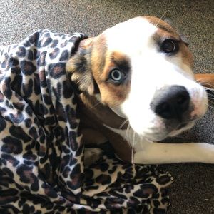 Meet your Posher, Marissa